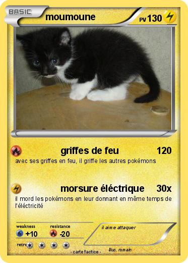 Pokemon moumoune
