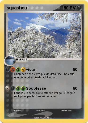 Pokemon squashou
