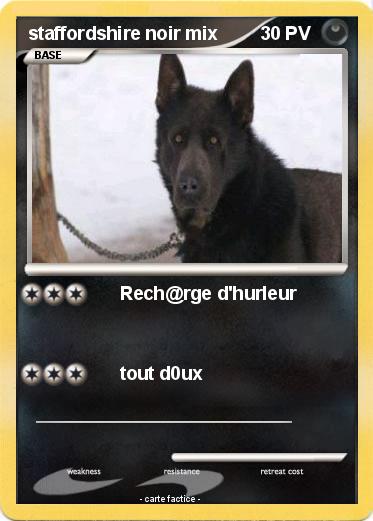 Pokemon staffordshire noir mix