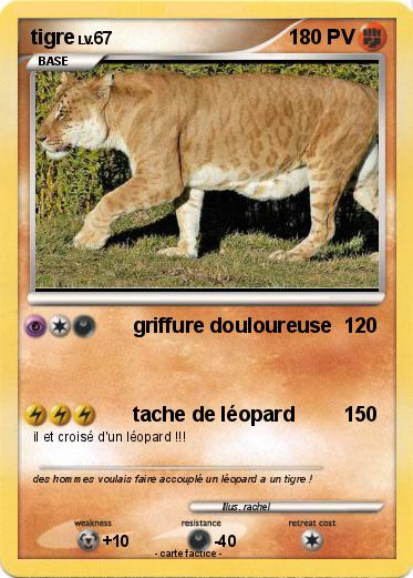 Pokemon tigre