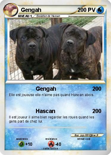 Pokemon Gengah