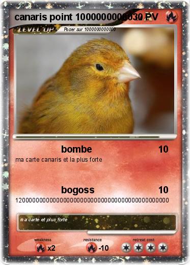 Pokemon canaris point 10000000000