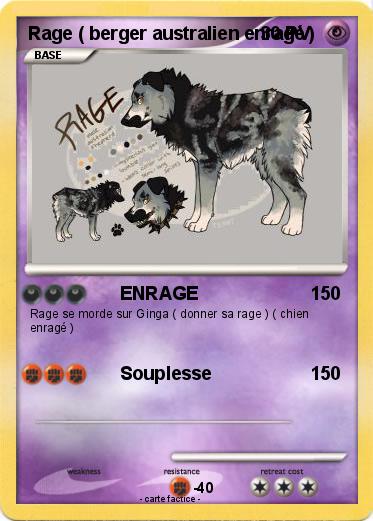 Pokemon Rage ( berger australien enragé )