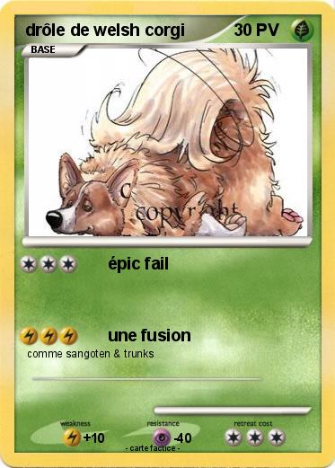 Pokemon drôle de welsh corgi