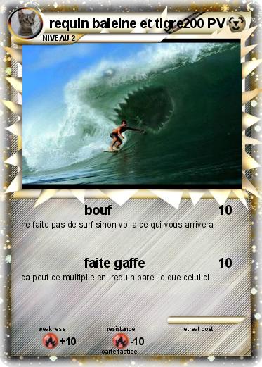 Pokemon requin baleine et tigre