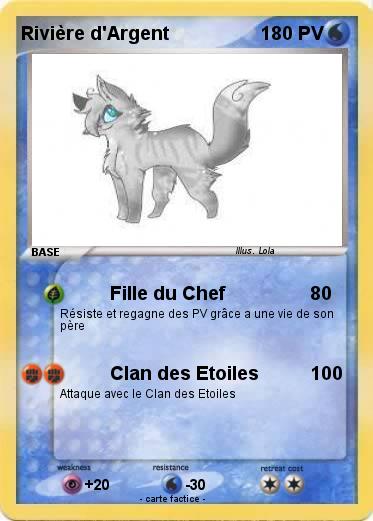 Pokemon Rivière d'Argent