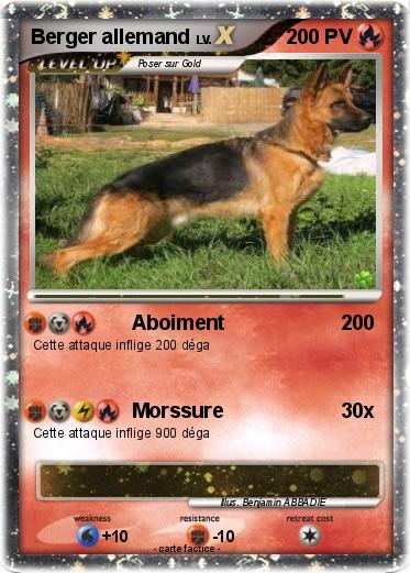 Pokemon Berger allemand