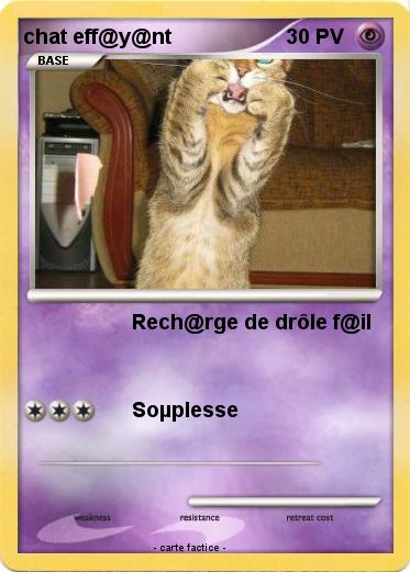 Pokemon chat eff@y@nt