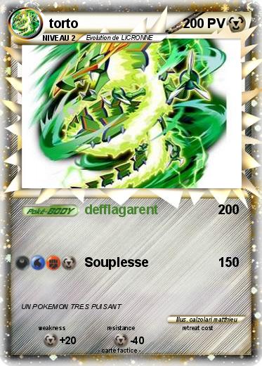Pokemon torto