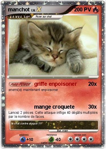 Pokemon manchot