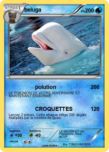 Pokemon beluga