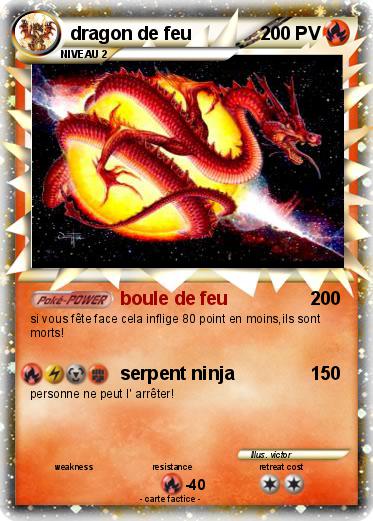 Pokemon dragon de feu
