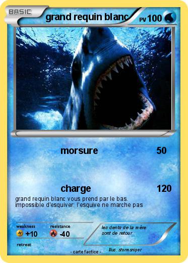 Pokemon grand requin blanc