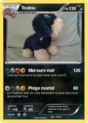 Pokemon Toutou
