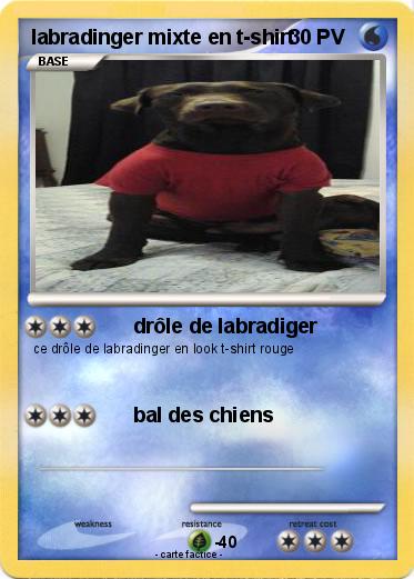 Pokemon labradinger mixte en t-shirt