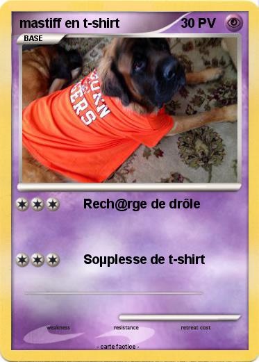 Pokemon mastiff en t-shirt