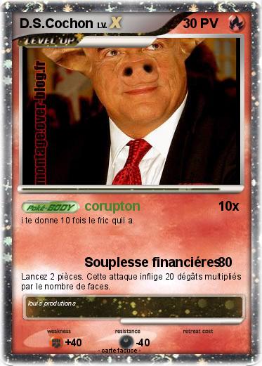 Pokemon D.S.Cochon