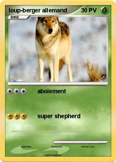 Pokemon loup-berger allemand