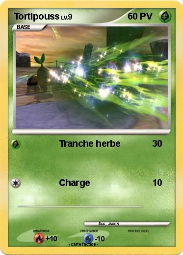 Pokemon Tortipouss