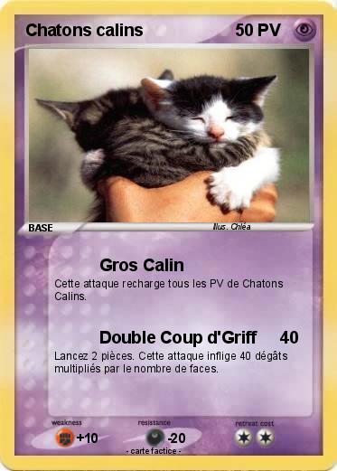 Pokemon Chatons calins