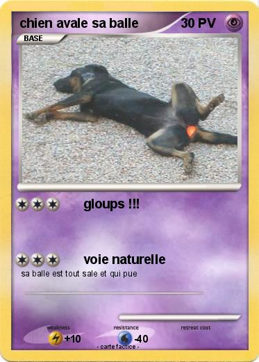 Pokemon chien avale sa balle