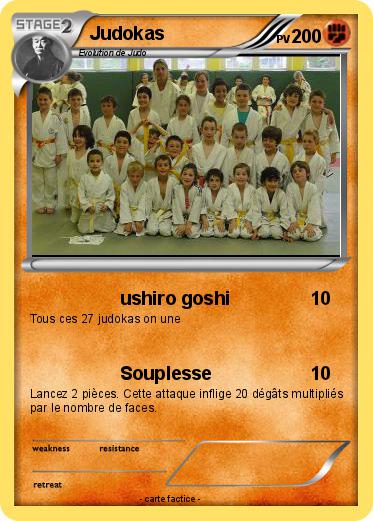 Pokemon Judokas