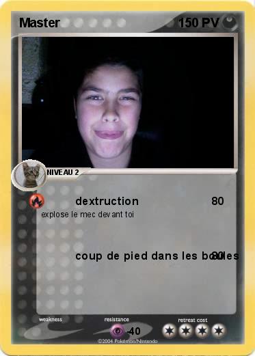Pokemon Master
