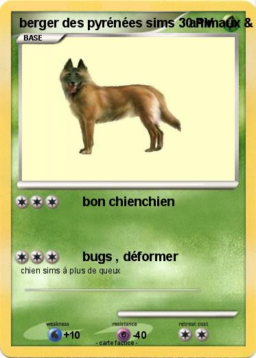 Pokemon berger des pyrénées sims 3 animaux & cie