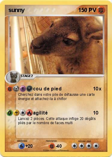 Pokemon sunny