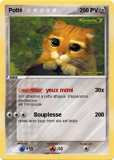 Pokemon Potté