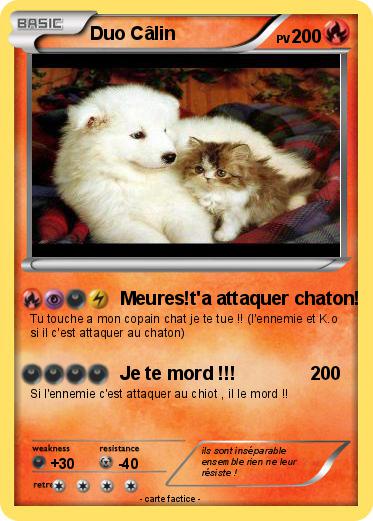 Pokemon Duo Câlin