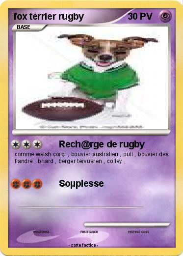 Pokemon fox terrier rugby