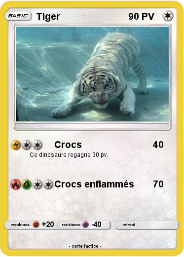 Pokemon Tiger