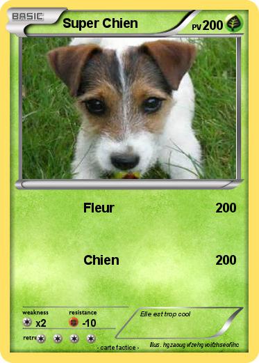 Pokemon Super Chien