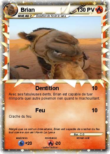 Pokemon Brian