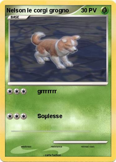 Pokemon Nelson le corgi grogno