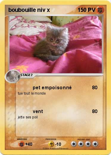 Pokemon boubouille niv x