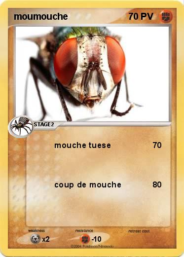 Pokemon moumouche