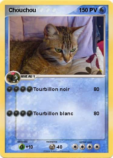 Pokemon Chouchou