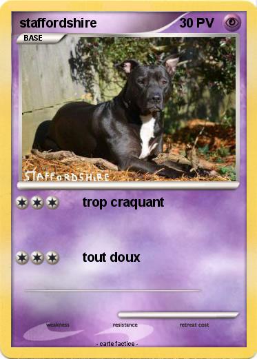 Pokemon staffordshire