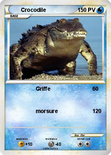 Pokemon Crocodile