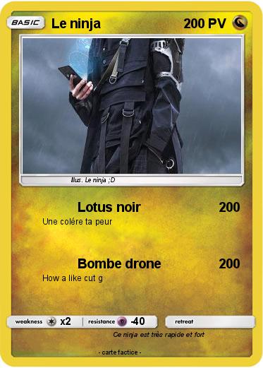 Pokemon Le ninja