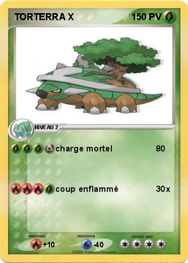 Pokemon TORTERRA X