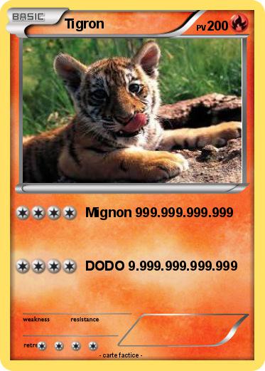 Pokemon Tigron