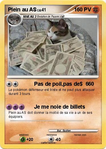 Pokemon Plein au AS