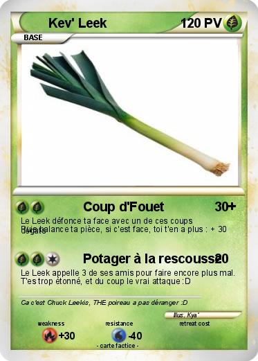 Pokemon Kev' Leek