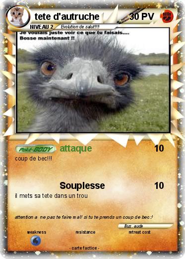 Pokemon tete d'autruche