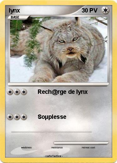Pokemon lynx