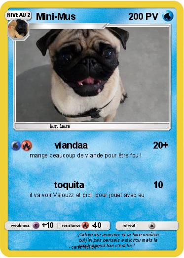 Pokemon Mini-Mus