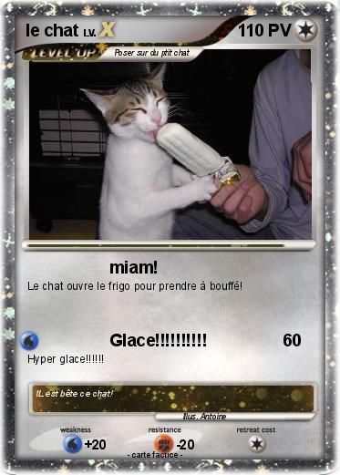 Pokemon le chat
